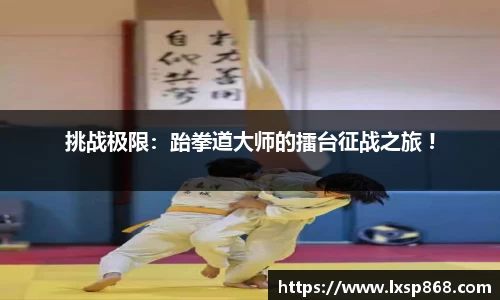 挑战极限：跆拳道大师的擂台征战之旅 !